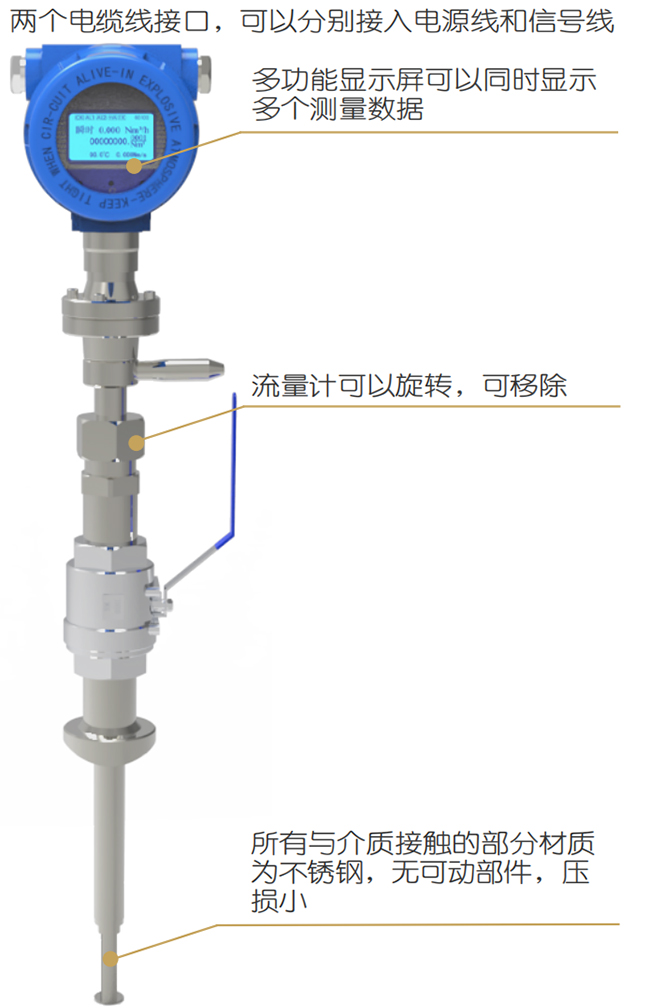 DN250熱式氣體質(zhì)量流量計結(jié)構(gòu)圖